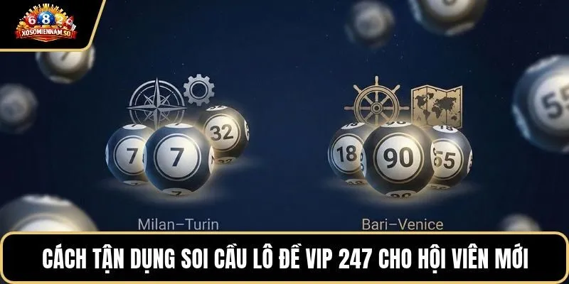 Cách tận dụng soi cầu lô đề VIP 247 cho hội viên mới