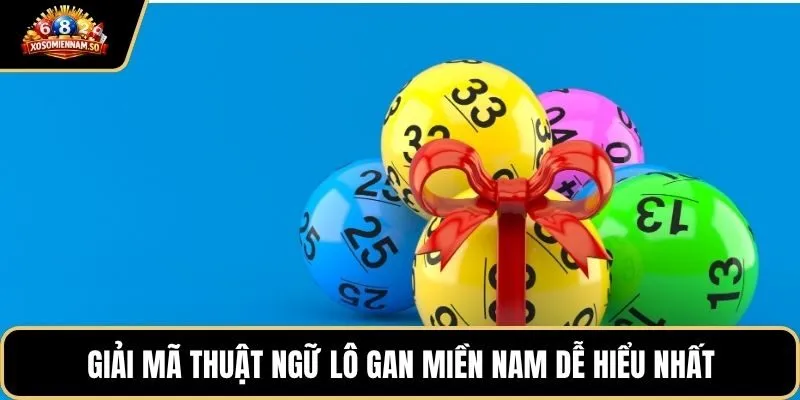 Giải mã thuật ngữ lô gan miền Nam dễ hiểu nhất
