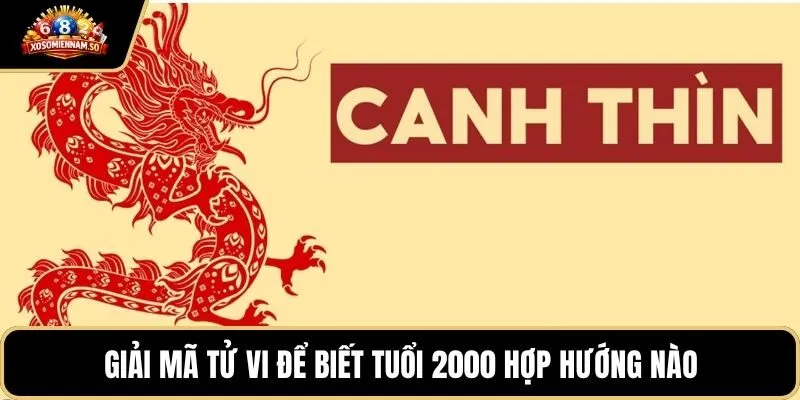 Giải mã tử vi để biết tuổi 2000 hợp hướng nào