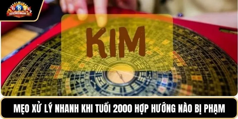 Mẹo xử lý nhanh khi tuổi 2000 hợp hướng nào bị phạm