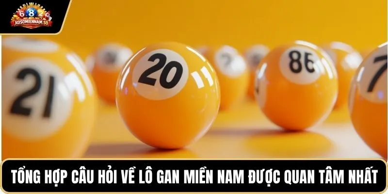 Tổng hợp câu hỏi về lô gan miền Nam được quan tâm nhất