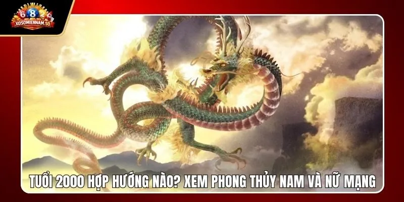 Tuổi 2000 Hợp Hướng Nào? Xem Phong Thủy Nam Và Nữ Mạng